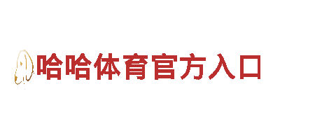 专业游戏开发公司贝搏